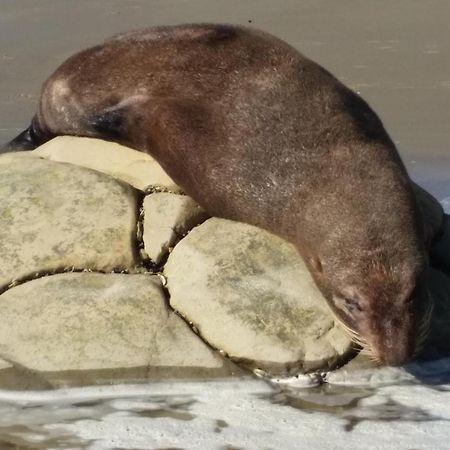 Moeraki Boulders Motel Hampden Ngoại thất bức ảnh