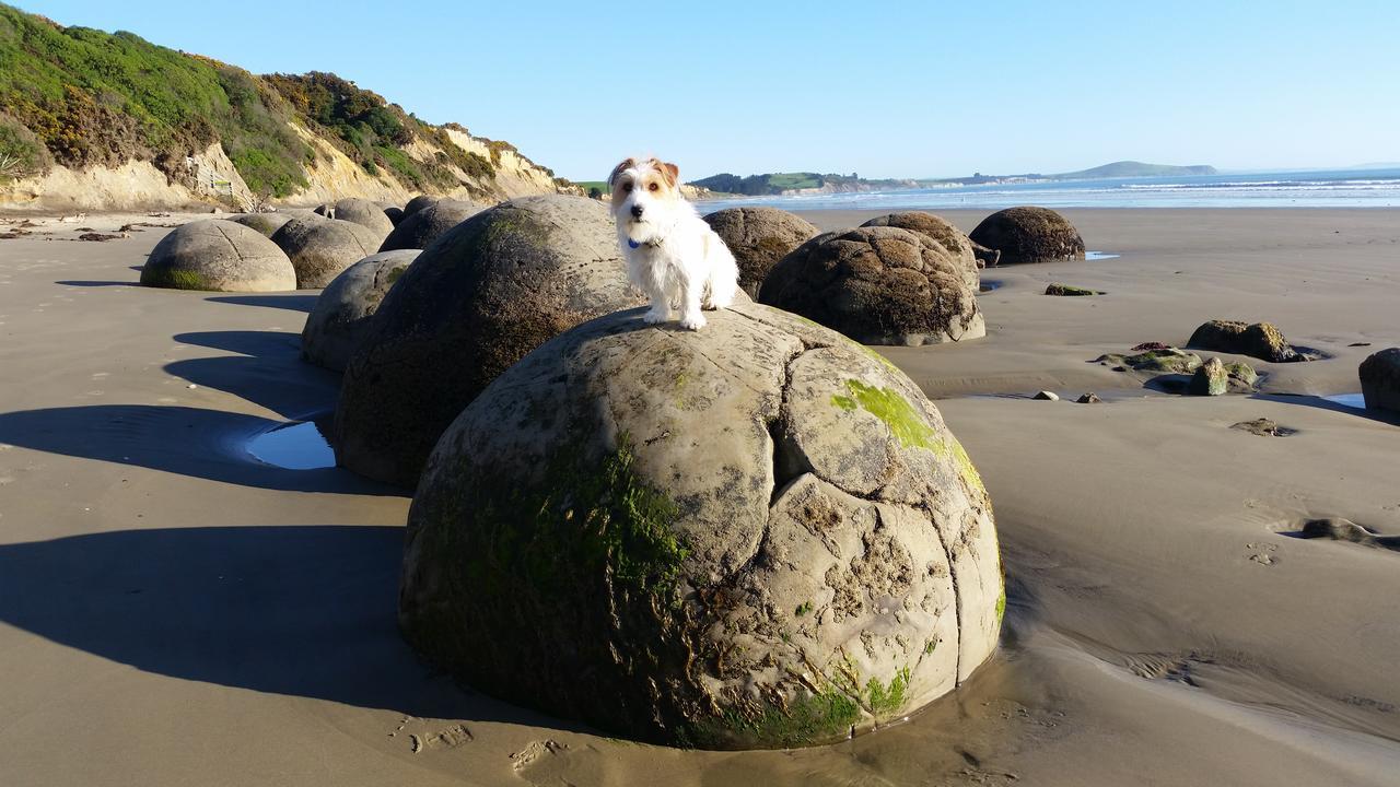Moeraki Boulders Motel Hampden Ngoại thất bức ảnh